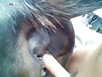 Gaybeast Rip Men And Animals I 1795ed A 2104 Named Maurice - Animal Sex Video