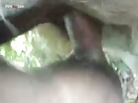 Gay Beast Com Men And Animals Man 1795 Donkey Part 2 - Beastiality Sex Tube