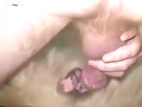 Gaybeast Men And Animals Man 1795ing 2795 Dog - Beastiality Sex Tube