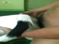 Gaybeast.Com Men And Animals Man 1795s 1310 Until 1560 - Zoo Xxx Porn Movie