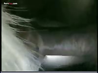 Gaybeast Men And Animals Man With Goat 3 - Animal Sex