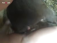 Gaybeast.Com Men And Animals Me And A Bud Tag Teaming A Minimare 1 - Beastiality Porn