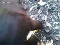 Gay Beast Com Men And Animals My First Time With Pony - Beastiality Sex Video