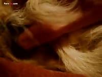 Gay Beast Com Men And Animals Preparation For Sporking - Bestiality Sex Video