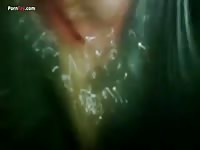 Gaybeast Rip Men And Animals Wet Mare - Bestiality Porn Video