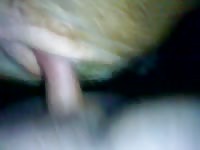 Gaybeast Rip My Cow Her Pussy And I Gay Zoo Porn Petlust Men Fuck Animals