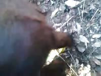Gaybeast.Com My First Time With Pony Gay Zoo Porn Petlust Men Fuck Animals