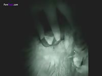 Gaybeast.Com Night Cam Sheep Fuck 1