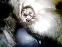 Gaybeast.Com Playing With A Juicy Pussy