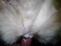 Gaybeast Rip Sex For Fun