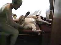 Gay Beast Com Sex Gay Zoo Porn Petlust Men Fuck Animals