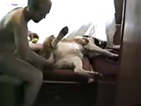 Gaybeast Sex