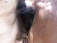 Gaybeast Sloppy Horse Mare And Men