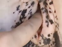 Gaybeast Sweet Little Mare Gay Zoo Porn Petlust Men Fuck Animals