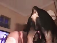 Getting Fucked By My Rottie Pt 3 Gaybeast.Com - Bestiality Sex Movie