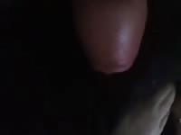 Good Boy 3 Gaybeast.Com - Animal Sex Tube