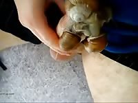 Gozando No Caracaol Gaybeast Rip - Zoo Xxx Sex Video
