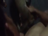 Group Share My Dog Gaybeast Rip - Bestiality Porn