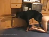 Gsd Knotting Gaybeast.Com - Zoo Xxx Sex Tube
