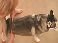 Guy And Husky 1 Gay Beast Com - Bestiality Sex Tube