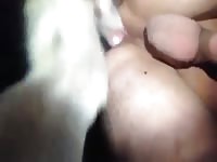Guy And Mix Gay Beast Com - Animal Porn Movie