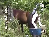 Guy And Horse Part 3