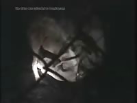 Guy Being Fucked By Wolf Gay Beast Com - Beastiality Porn