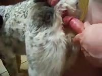 Guy Fuck Female Dog Anally Gay Beast Com - Zoo Xxx Sex