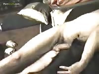 Guy Fucking Male Dog In Ass