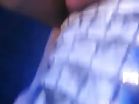 Guy Fucks Alligator Gaybeast.Com - Beastiality Sex Video