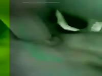 Guy Fucks Woman Rottie Anal Gaybeast Rip - Animal Porn Tube