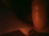 Guy Fucks His Teddy Bear Pt 2 Gaybeast Rip - Beastiality Sex