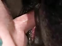 Guy Fucks Mare 5 Gay Beast Com - Beastiality Porn Video