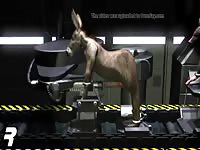 Guy Gets Transformed Into Donkey Gaybeast.Com - Animal Sex