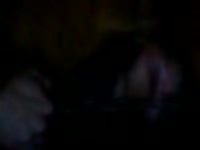 Guy Jerking Off A Dog Gaybeast Rip - Bestiality Porn Movie