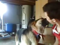 Guy Plays With His Dog Gaybeast - Beastiality Sex Porn Tube