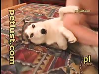 Guys And Female Dogs P228 In The Siberian Petlust Com