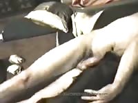 Hard Ass Gay Beast Com - Animal Porn Tube