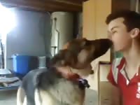 Having Fun On Cam Gaybeast.Com - Animal Porn Tube