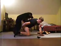 Hay Gay Gaybeast - Bestiality Porn Movie