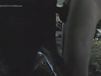 Heifer Fuck 1 Gaybeast.Com - Beastiality XXX Sex Movie