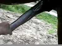 Helping Hand Gaybeast.Com - Animal Sex Movie
