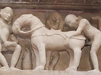 History Lession1 Gaybeast.Com - Bestiality Sex Video