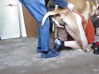 PornFay: BF helps dog fuck his girl in amateur dog porn