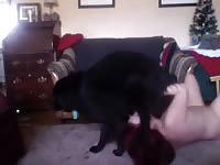 Dog seduces owner and then gets to have dog sex