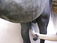 Fat whore enjoys horse cock in farm porn