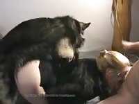 K9 having 3-way animal sex with slut