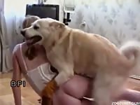 BFI: Teen blonde having hot dog sex with retriever