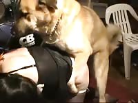 Older woman pursues her bestiality kink