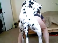 Woman has rough dog sex with a dominant K9